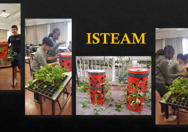 ISTEAM