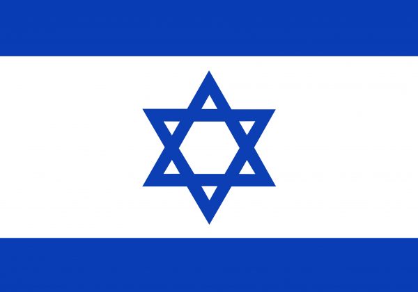 מיזם דגלים